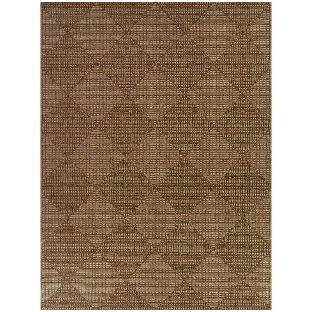 Bisset Brown Checkered Textured Indoor/Outdoor Area Rug 5'3" x 7'