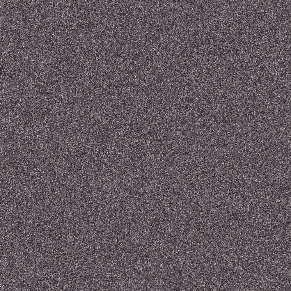 8 in. x 8 in. Texture Carpet Sample - Cherry on Top I - Color Thundercloud price history on PriceWatchPro