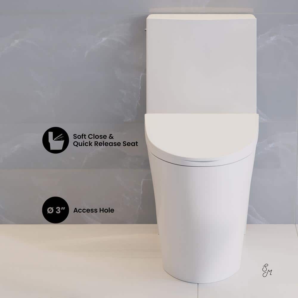White Glossy One-Piece Elongated Dual Flush Toilet