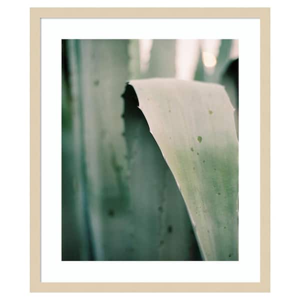 Amanti Art Succulent I by Justine Milton 21 in. W x 25 in. H. Wood Framed Wall Art Print Framed in Brown