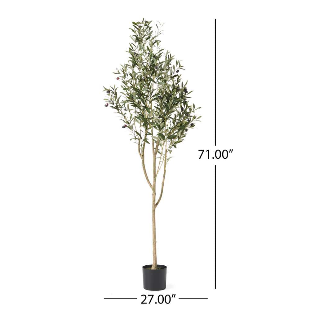 Elysian 71" Black Pre-Potted Faux Olive Tree in Plastic Pot