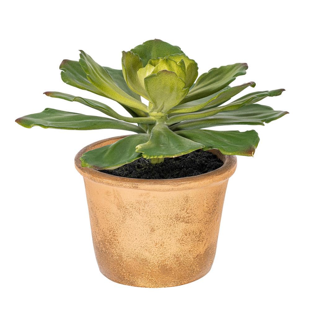 Vickerman 9 in. in Green Artificial Succulent in. in Paper Pot