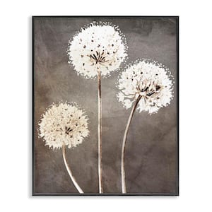 Fluffy Dandelion Plants Wildflower Botanical Blooms by Kim Allen Black Framed Giclee Art Print Nature 20 in. x 16 in.