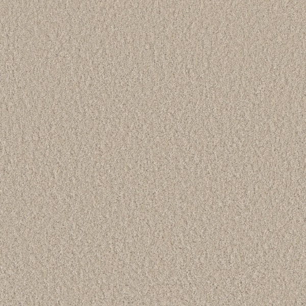 Lifeproof Blissful II - Ecstatic Beige - 60 oz. SD Polyester Texture Installed Carpet