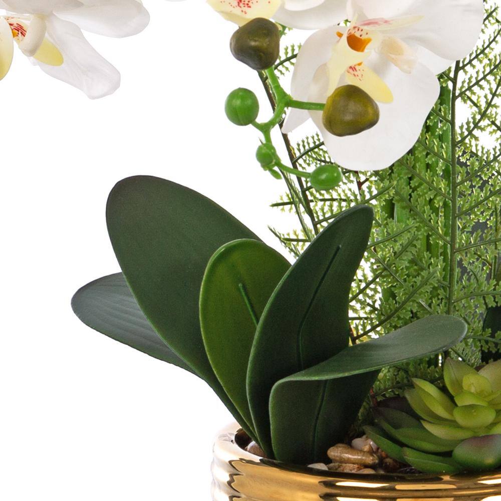 26.77" White Orchid Floral Arrangement in Gold-Plated Ceramic Vase