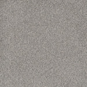Westchester I -Color Stargazer Texture White Carpet