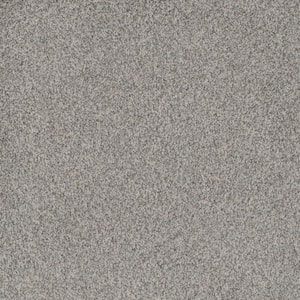 Westchester III  - Stargazer - White 70 oz. Polyester Texture Installed Carpet