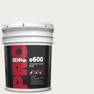 5 gal. #52 White Flat Exterior Paint