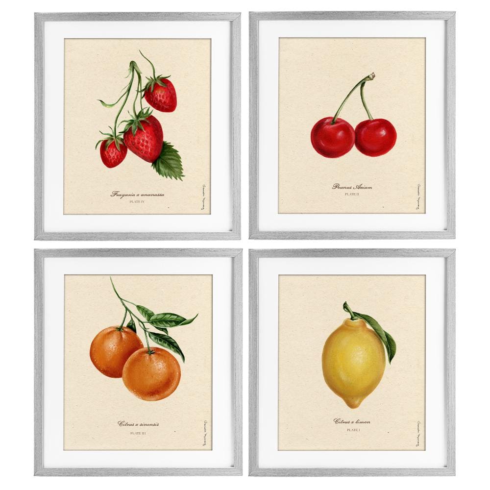 Vintage Fruit Portraits 4 Piece Gray Framed Print Under Glass Set, design by Danielle Murray price history on PriceWatchPro