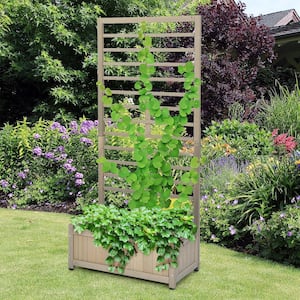 68 in. Grey Wood Planter Box with Trellis Raised Garden Bed for Climbing Plants