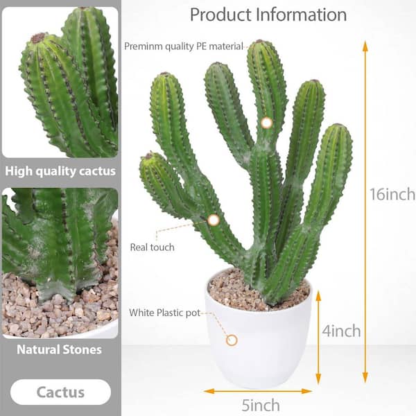 Afoxsos 7.9 in. 16 in. Green Indoor Outdoor Artificial Cactus Plant  Realistic Faux Succulent for Home Office Garden Decor 59A1124A1976 - The  Home Depot
