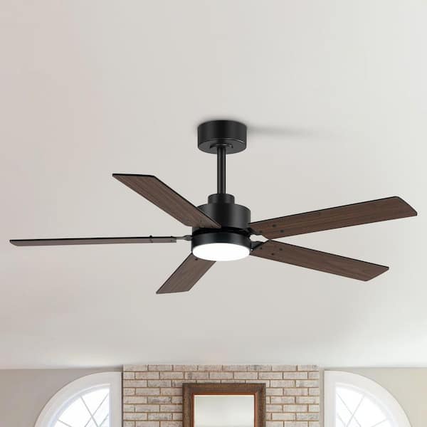 Alonso 48 in. Indoor Black Ceiling Fan with Integrated LED Light and Remote Control Included