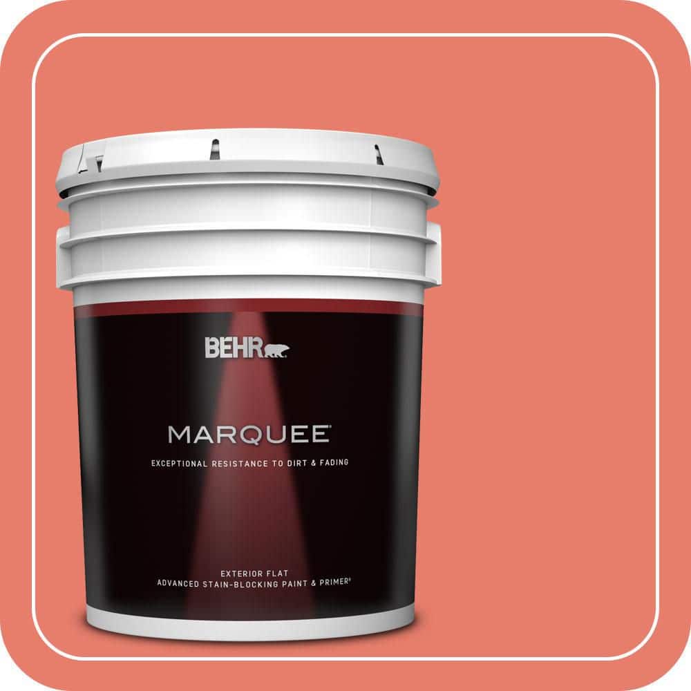 5 gal. Home Decorators Collection #HDC-SM14-12 Cosmic Coral Flat Exterior Paint & Primer product image for price tracking