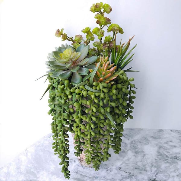 strawberry popcorn seeds Strawberry Popcorn Untreated Corn/Microgreen Seeds main image 1