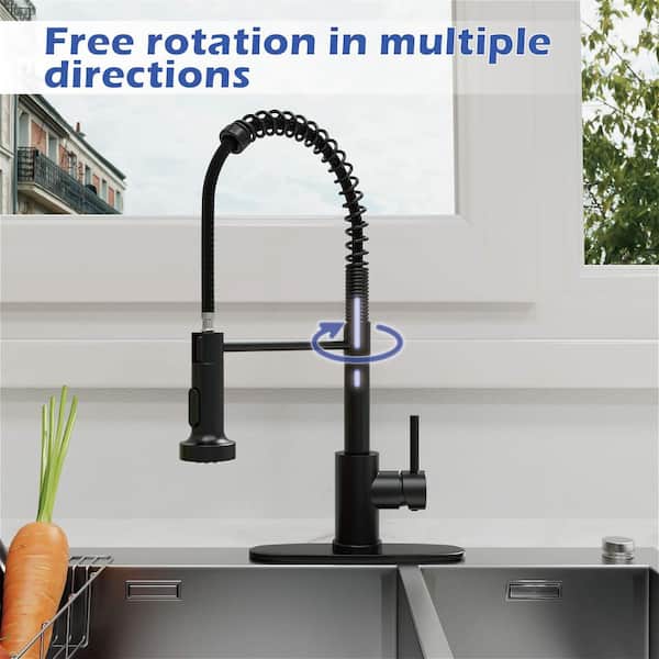 19.3 in. H Pull Down Sprayer Kitchen Faucet with 2 Sprayer Pattern 360° Spout Swivel in Matte Black