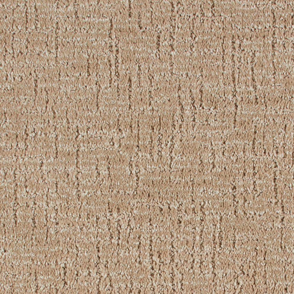 8 in. x 8 in. Pattern Carpet Sample - Truse -Color Walked Path