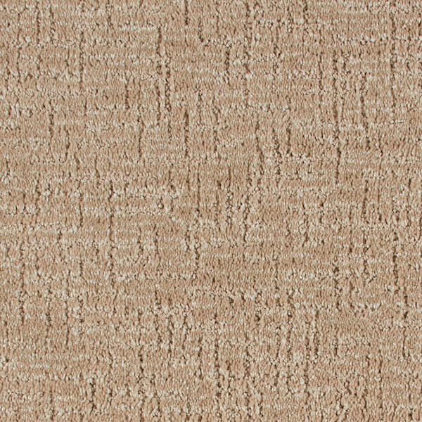 Unbranded 8 in. x 8 in. Pattern Carpet Sample - Truse -Color Walked Path