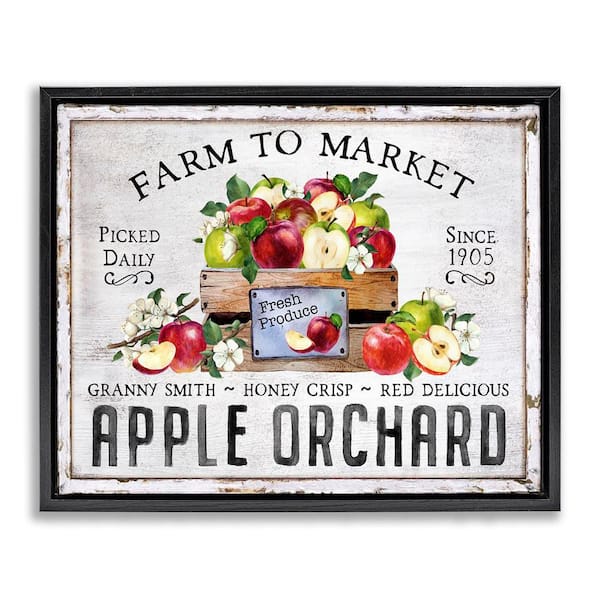 Stupell Industries Farmhouse Apple Orchard by Creatif Belle Black Floater Frame Food Graphic Art Print 25 in. x 31 in.