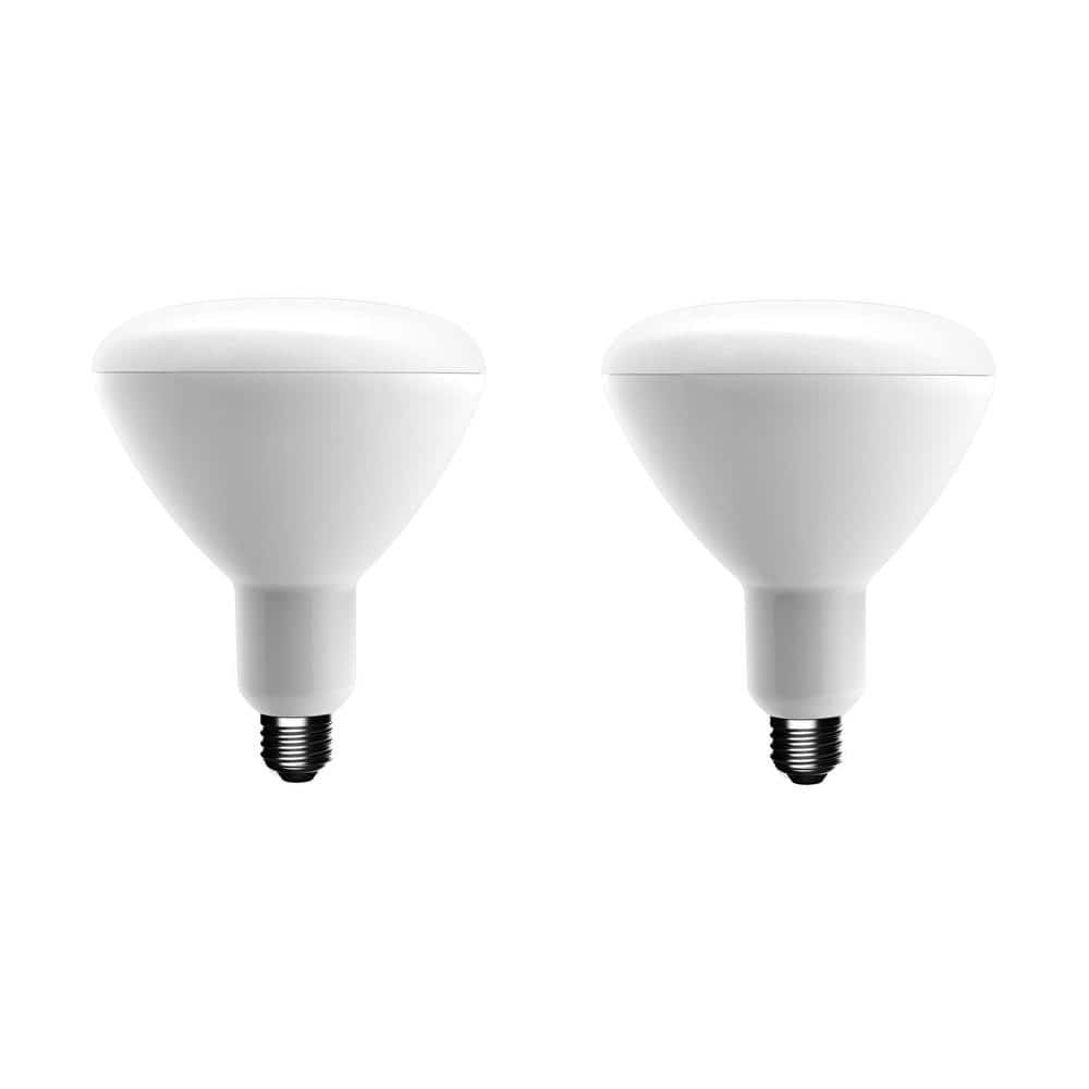 2 boxes of 3-pack Ecosmart 75w Equivalent Daylight BR40 Dimmable Led Light Bulb 