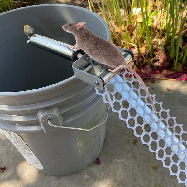ITOPFOX Reusable Mice Rat Mouse Killer Roll Trap Log Rolling Mouse Catcher  Rodent Traps Mouse Control H2SA17OT256 - The Home Depot