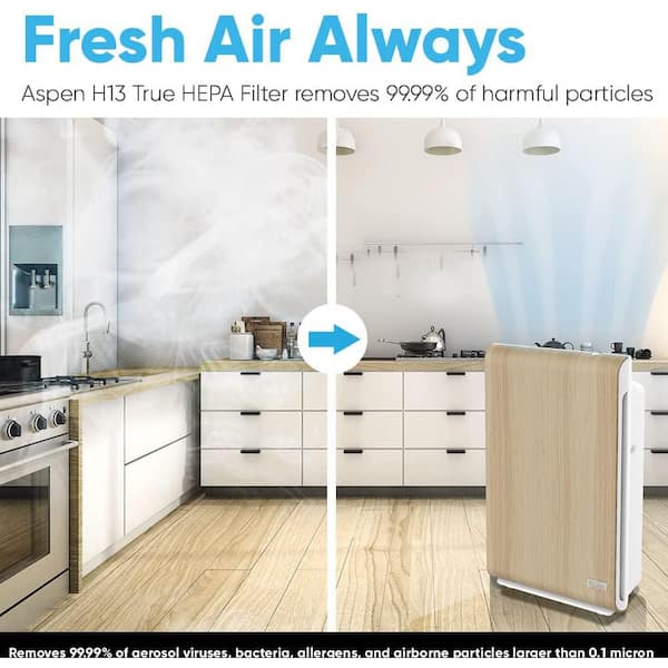 Aspen Smart Air Purifier
