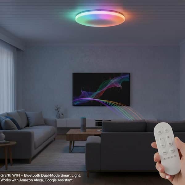 12 in. Smart Ceiling Light 24W LED, RGB Dimmable Flush Mount with Music Sync, WiFi Bluetooth App & Remote Control