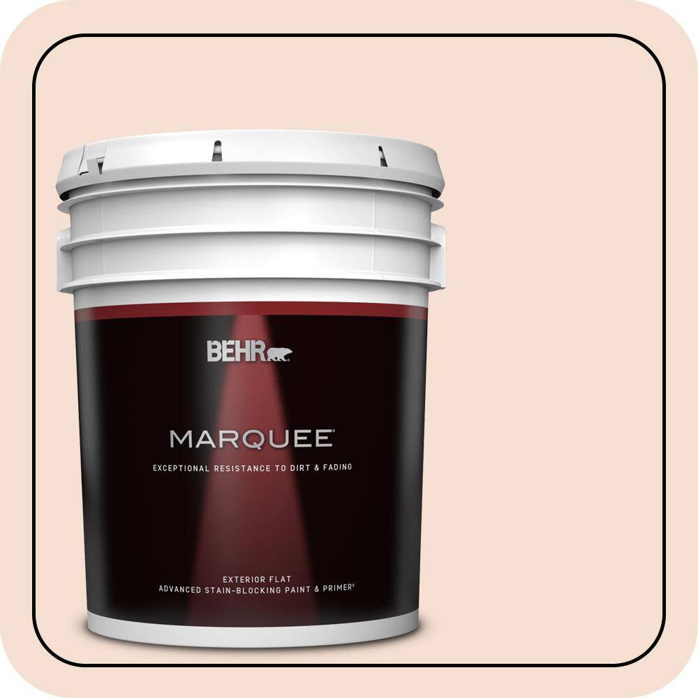 5 gal. #240E-1 Muffin Mix Flat Exterior Paint & Primer price history on PriceWatchPro