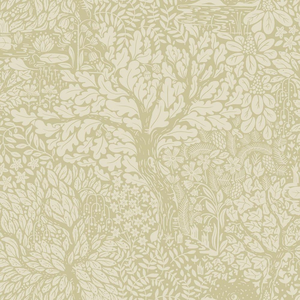 A-Street Prints Olle Sage Forest Sanctuary Wallpaper