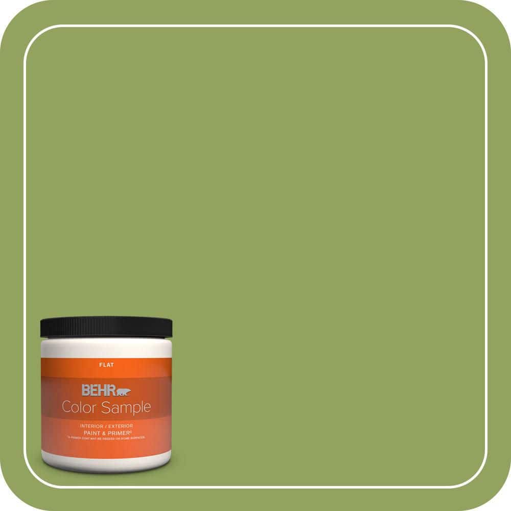 8 oz. Home Decorators Collection #HDC-MD-15 Zesty Apple Flat Interior/Exterior Paint & Primer Color Sample -  BEHR PREMIUM PLUS, ZZ035604