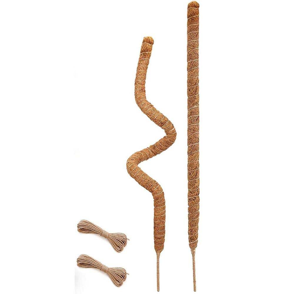 pi様 MOSS STICK Amazon.com : DUSPRO D-Shaped Plastic Moss Poles for Climbing
