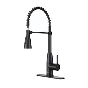 Single Handle Pull Down Sprayer Kitchen Faucet with LED Lights Temperature Display in Matte Black