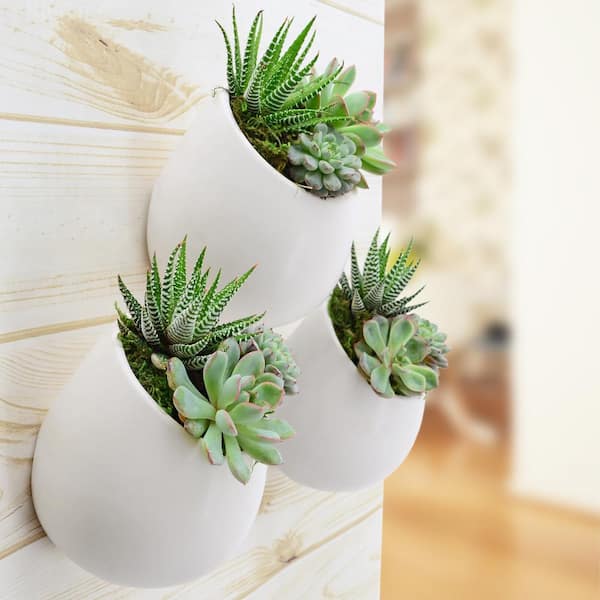 Hanging Plant Pots Wall Face Planter Balcony Decor Indoor Wall Pot for Plants  Flower Pots Outdoor Succulent Pot Face Planters Gift for Her 