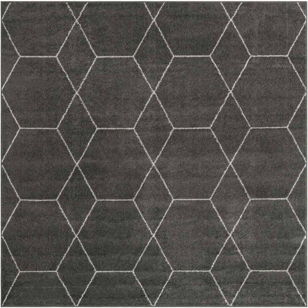 Trellis Frieze Geometric Dark Gray 6 ft. x 6 ft. Area Rug price history on PriceWatchPro