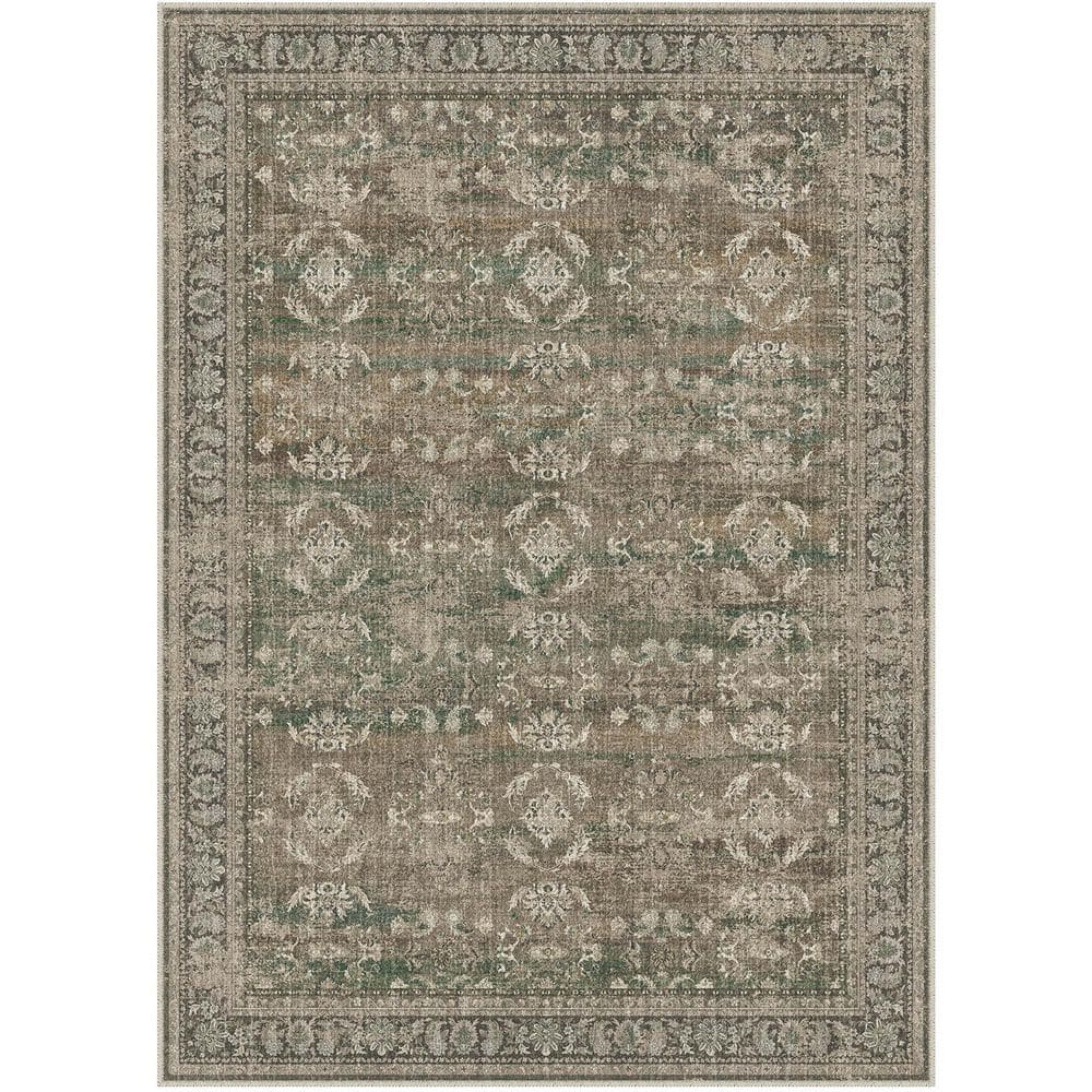 Boston Brown 5 ft. x 7 ft. Distressed Vintage Floral Area Rug price history on PriceWatchPro