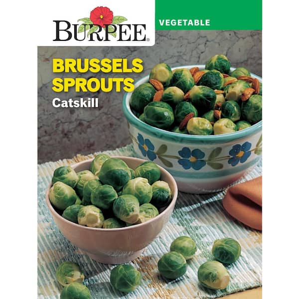 Brussels Sprouts Catskill Heirloom Seed