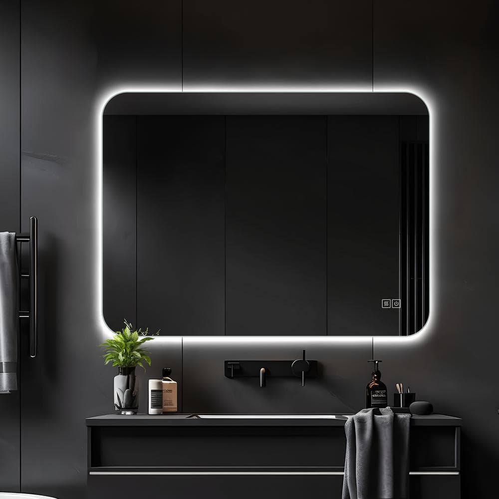 20 in. W x 28 in. H Rectangular LED Lighted Anti-Fog Dimmable Bathroom Vani