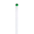 15-Watt 18 in. Linear T8 ALTO Fluorescent Tube Light Bulb Daylight Deluxe (6500K) (6-Pack)