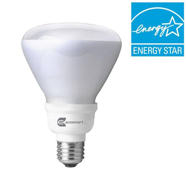 EcoSmart 65W Equivalent Daylight (6500K) R30 Instant Bright CFL Light Bulb (2-Pack)