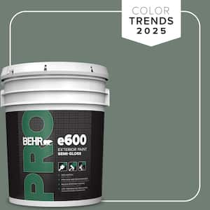 5 gal. #N420-5 Boreal Semi-Gloss Exterior Paint