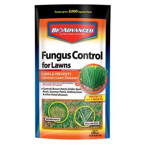 10 lbs. Granules Fungus Control for Lawns