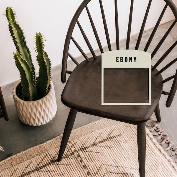 10.25 Ebony Interior Wood Stain Spray