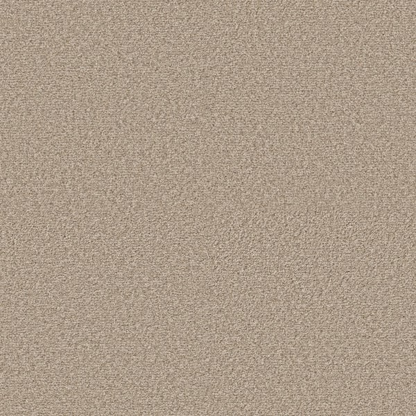 Home Decorators Collection Enchanted - Color Warm Breeze 61 oz. Polyester Texture Beige Installed Carpet