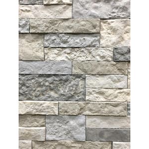 Spring Creek Gray Cement Standard Primary Wall Tiles