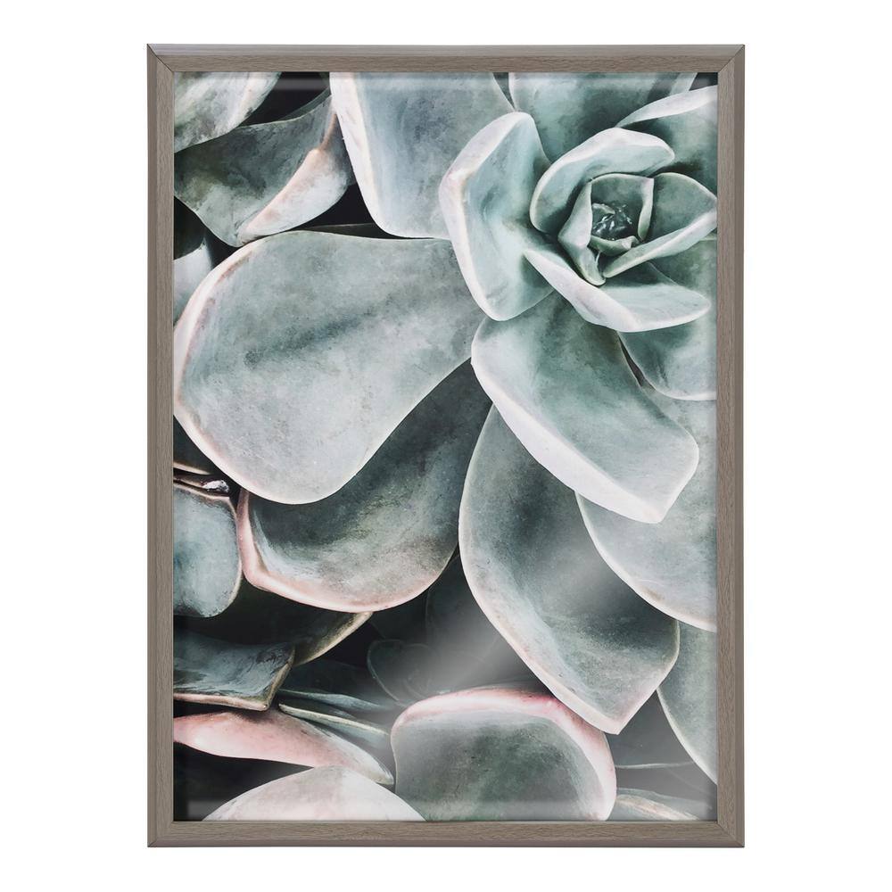 Gray Framed Botanical Succulent Plant Wall Art Set