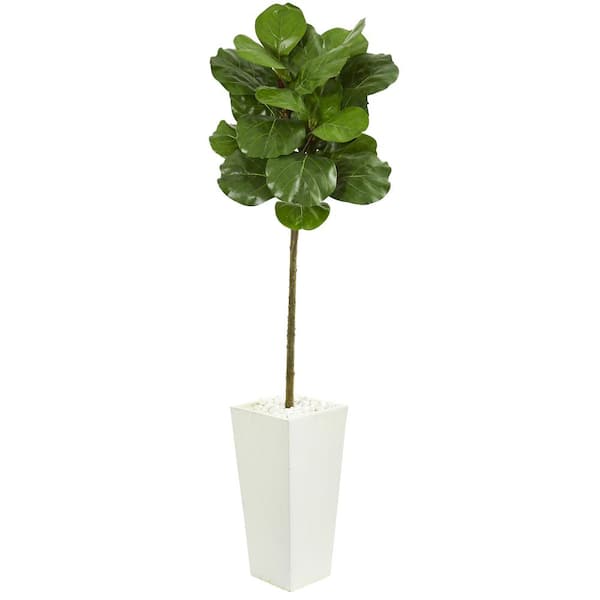 Nearly Natural Indoor 5.5-Ft. Fiddle Leaf Artificial Tree in White Tower Planter