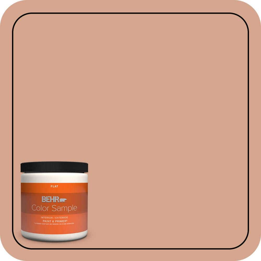 8 oz. #240E-3 Coronado Dunes Flat Interior/Exterior Paint & Primer Color Sample product image for price tracking