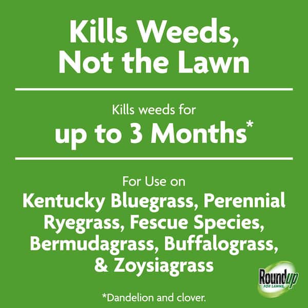 For Lawns1 Ready-To-Use with Extended Wand, 1 gal., Tough Weed Killer for Use on Northern Grasses