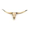 Resin Texas Long Horn Skull Wall Decor