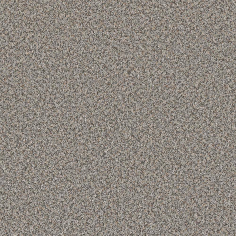 8 in. x 8 in. Texture Carpet Sample - Folklore II - Color Dynasty price history on PriceWatchPro