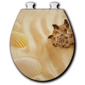 Shells in the Sand Round Closed Front Toilet Seat in White